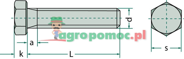 Bolt | zdjęcie nr 1